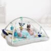 Centru de joaca din plus Tiny Love Gymini Polar Wonders 1