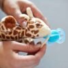 Suzeta cu jucarie Avent Ultra Soft 0 6 luni giraffe 3