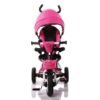 Tricicleta Moni Flexy Lux Pink 2