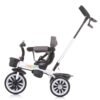 Tricicleta scaun rotativ 360 grade Chipolino Matrixro 2021 Mist 4